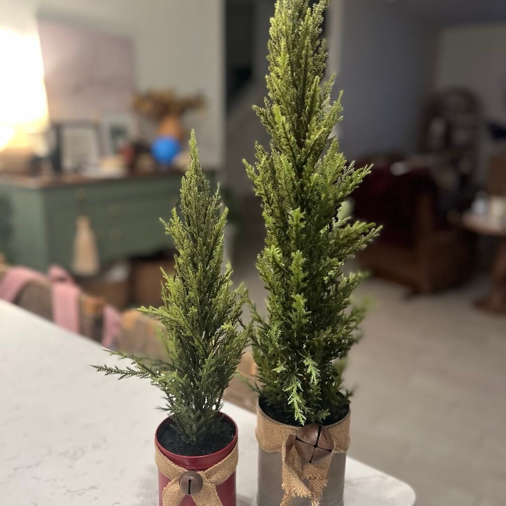 (2) Christmas Tree decor in cans